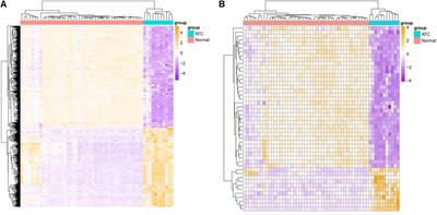 Long Non-coding RNA RP11-395G23.3 Acts as a Competing Endogenous RNA of miR-124-3p to Regulate ROR1 in Anaplastic Thyroid Carcinoma